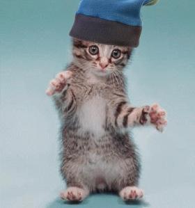 chatton